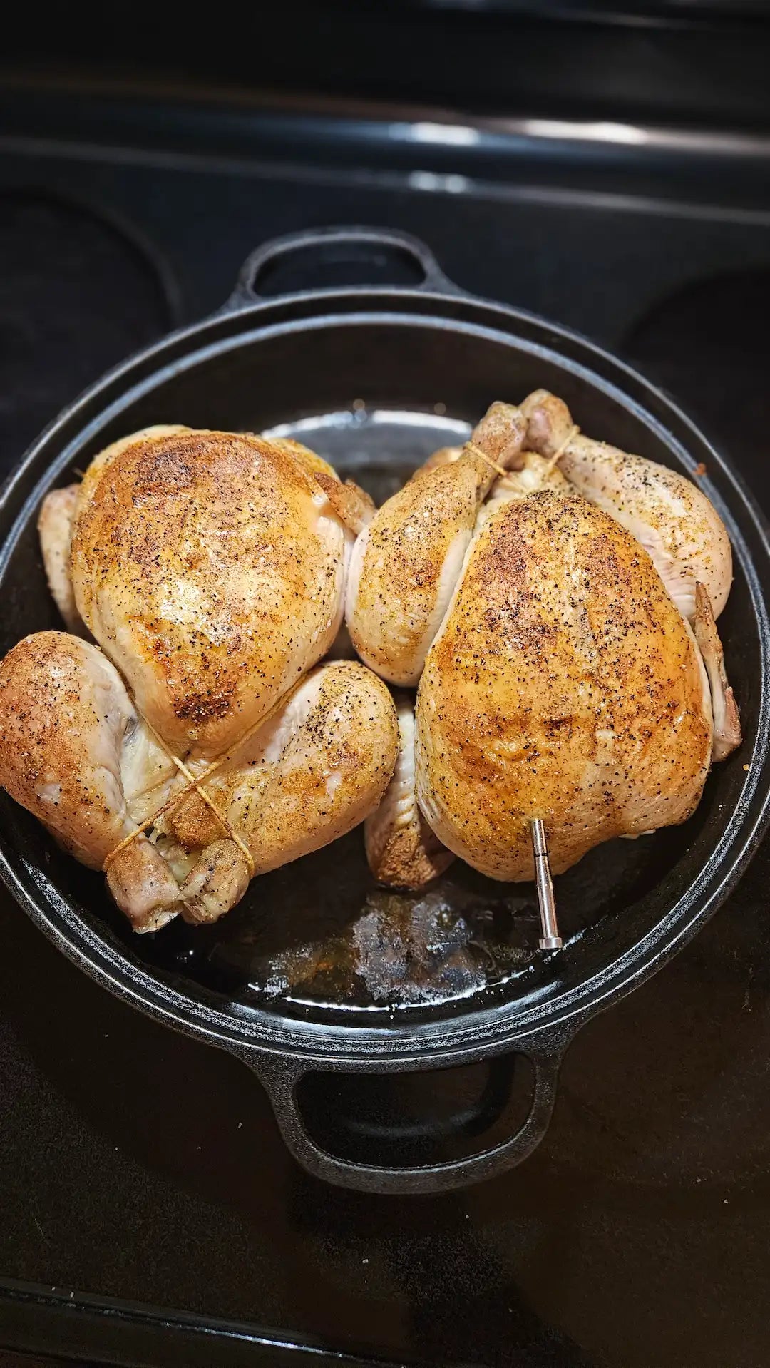 Two roast chickens in cast iron roaster