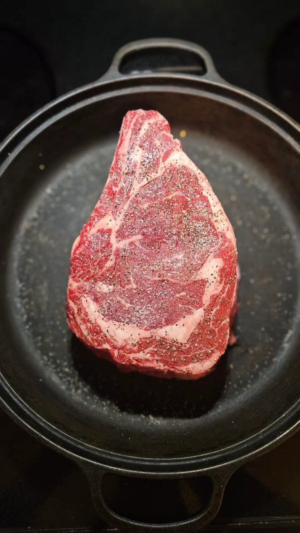 12 Inch ROASTING PAN